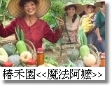 yJ ϥݶ